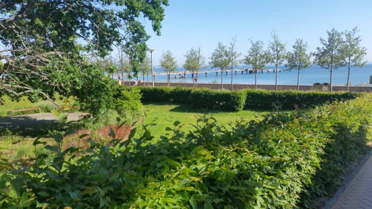 شقة غورين  في Haus Mecklenburg المظهر الخارجي الصورة